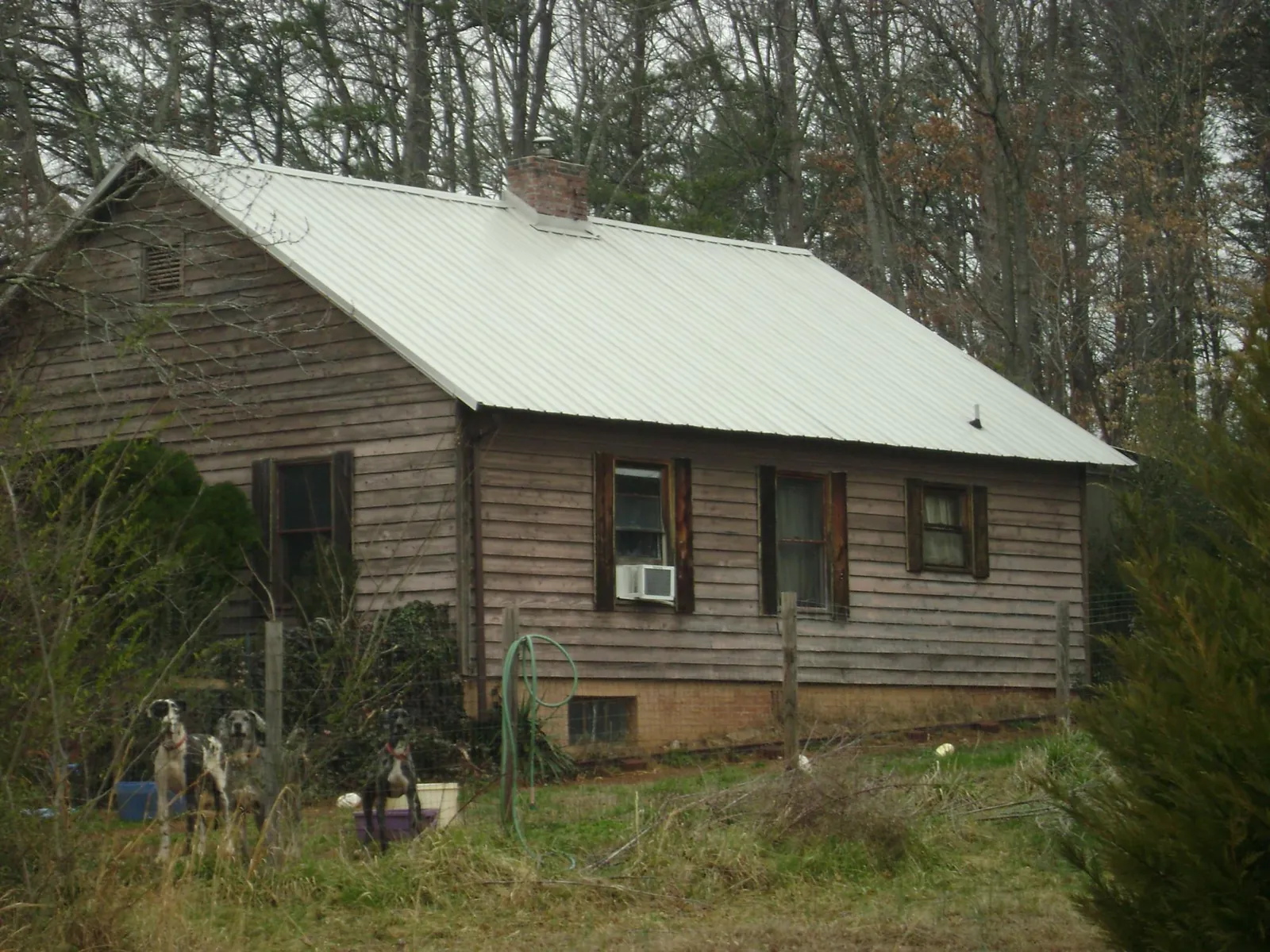 White metal roof on an old wood sided farmhouse, from a Asphalt Shingle Roof Repair job in McMinnville